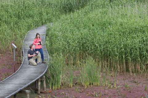 Bool Lagoon Game Reserve And Hacks Lagoon Conservation Park - Tourism Caloundra 2