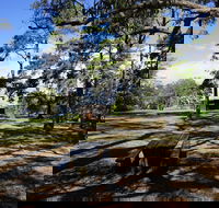 Bowen Mountain Park - Tourism Caloundra