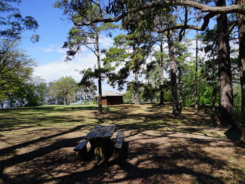 Bowen Mountain Park - Tourism Caloundra 0