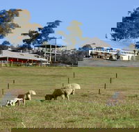 Calmsley Hill City Farm - Tourism Caloundra