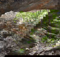 Cave Creek Walking Track - Tourism Caloundra