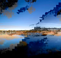 Cecil Hoskins Nature Reserve - Tourism Caloundra