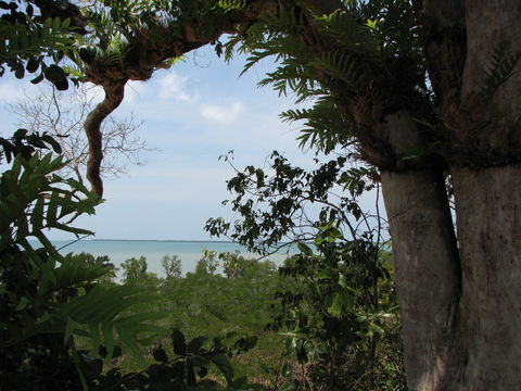 Channel Point Coastal Reserve - Tourism Caloundra 0