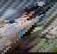 Delta Force Paintball - Tourism Caloundra