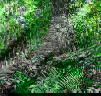 Djiru National Park - Tourism Caloundra