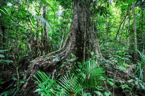 Djiru National Park - Tourism Caloundra 0