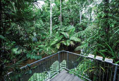 Djiru National Park - Tourism Caloundra 1