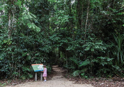 Djiru National Park - Tourism Caloundra 2