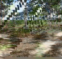 Djukbinj National Park - Tourism Caloundra