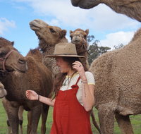 DromeDairy Body and Skin - Tourism Caloundra