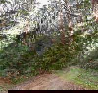 End Peak walking track - Tourism Caloundra