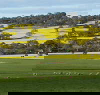 Fini Olives - Tourism Caloundra
