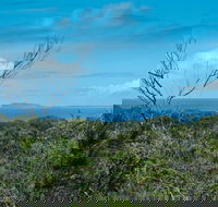 Forest Walking Track Crowdy Bay National Park - Tourism Caloundra