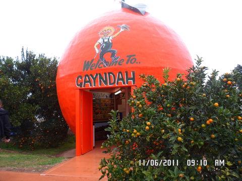 Gayndah's Big Orange - Tourism Caloundra 2