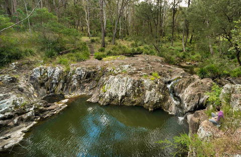 Gorge Walking Track - Tourism Caloundra 0