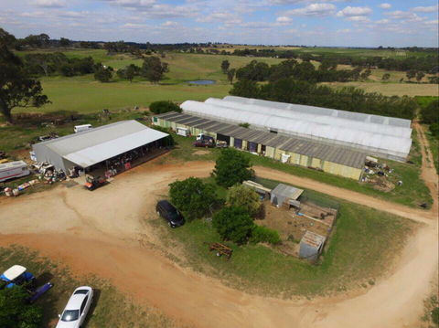 Hill-Lock Orchard - Tourism Caloundra 0
