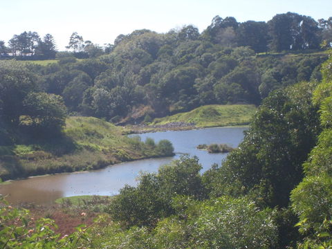 Jerrara Dam - Tourism Caloundra 0