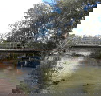 Junction Island Nature Reserve Canoe Tree and Walking Track - Tourism Caloundra