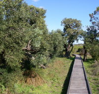 Kepwari Trails Wetland Wonderland - Tourism Caloundra