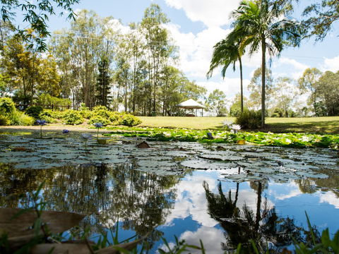 Kholo Gardens - Tourism Caloundra 1