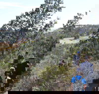 Kinchina Conservation Park - Tourism Caloundra