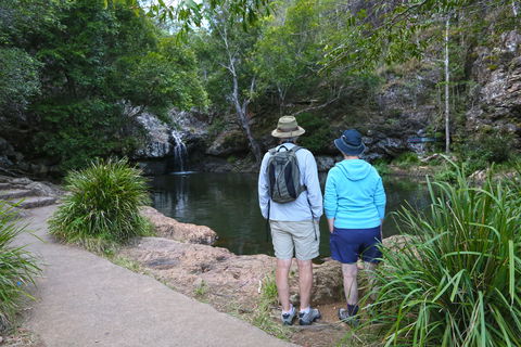 Kondalilla Falls Circuit, Kondalilla National Park - Tourism Caloundra 1
