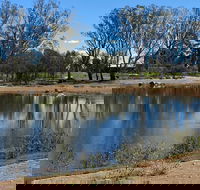 Lake King Wetlands at Rutherglen - Tourism Caloundra