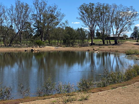 Lake King Wetlands At Rutherglen - Tourism Caloundra 0