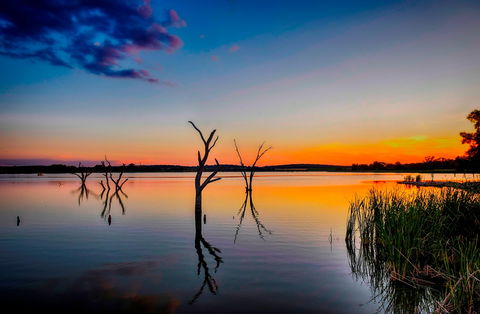 Lake Wyangan - Tourism Caloundra 0