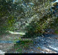 Lillypilly loop trail - Tourism Caloundra