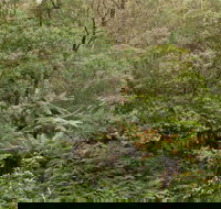 Lind National Park - Tourism Caloundra