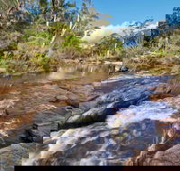 Little Dandahra Creek Walking Track - Tourism Caloundra