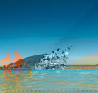 Llewellyn Dive Site - Tourism Caloundra