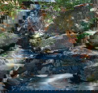 Mackay Regional Botanic Gardens - Tourism Caloundra