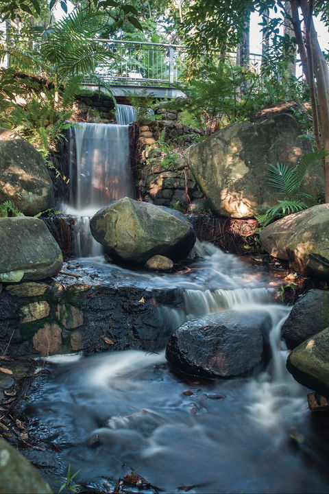 Mackay Regional Botanic Gardens - Tourism Caloundra 0