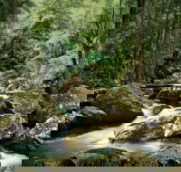 Maleny - Tourism Caloundra