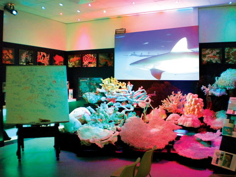Marine Discovery Centre Hastings Point - Tourism Caloundra 0