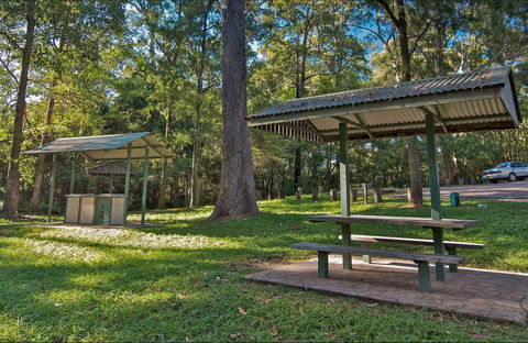 Minyon Grass Picnic Area - Tourism Caloundra 0