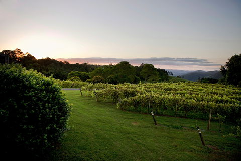 Montville - Tourism Caloundra 1