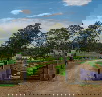 Moorebank Vineyard - Tourism Caloundra