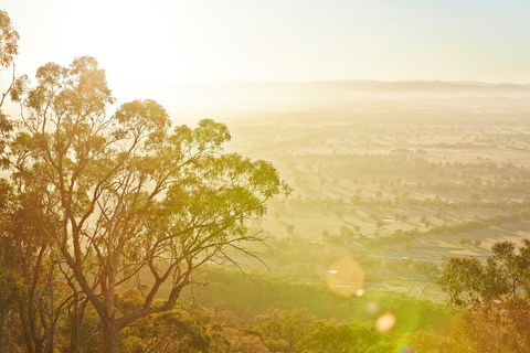 Mt Glenrowan Lookout Walk - Tourism Caloundra 1
