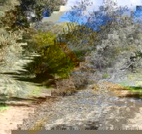 Naracoorte North Nature Park - Tourism Caloundra