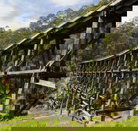 Noojee Trestle Bridge - Tourism Caloundra