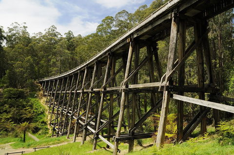 Noojee Trestle Bridge - Tourism Caloundra 0