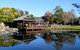 North Coast Regional Botanic Garden - thumb 0