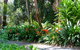 North Coast Regional Botanic Garden - thumb 1