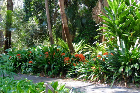North Coast Regional Botanic Garden - Tourism Caloundra 1