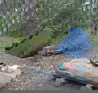 Northbrook Mountain Bush Camp - Tourism Caloundra