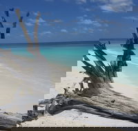 North West Island - Tourism Caloundra
