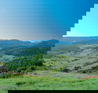 Numinbah Section Springbrook National Park - Tourism Caloundra